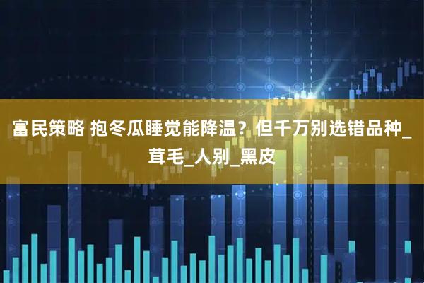 富民策略 抱冬瓜睡觉能降温？但千万别选错品种_茸毛_人别_黑皮